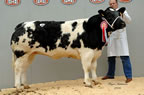 Glenrock Whiskey from Helen illingworth made 4000gns