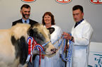 Michel Vincent, president of BBG with his chosen Champion Belgian Blue bull, Springfield Wedgewood from Alan & Deirdree Wilkinson, Out Rawcliffe, Preston, which was later sold to the BBG group.