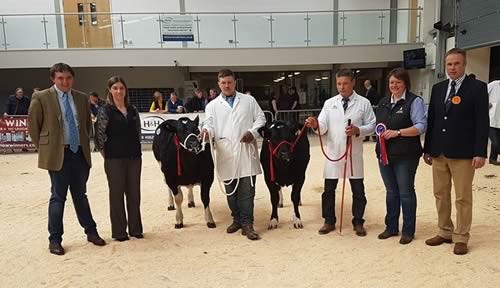 Sponsors, Show Winners & David Allen - Female Champion Tipladys Lottie from Richard Tiplady, Reserve Female Champion Luce Water Little Boo Peep AT from Ben Haigh, Judge Andrew Anderson