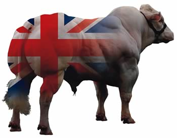 british type blue genetics