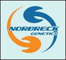 norbreck genetics