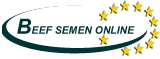 beef semen on line