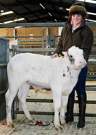 Emma Mason, 18, with her father Nigel’s £600 Skipton calf champion acquisition.