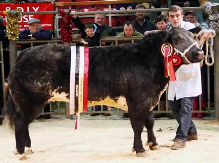 Jonathan Timm with the 2013 Skipton Christmas prime beef supreme champion.