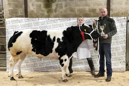 Charlotte Critchley, with her British Blue steer which weighed 514kgs and sold for £1552.28 or 308p/kg winner of the best animal shown by a young farmer receiving her trophy from Mark Hartley, show sponsor.