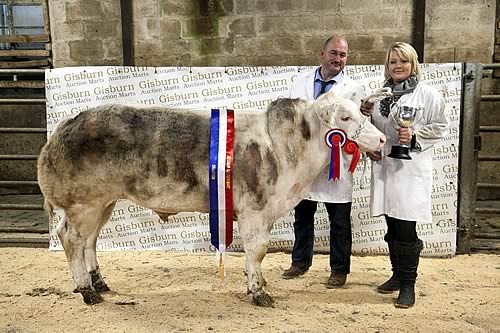 John Mellin & Clare Cropper with their champion beast, which sold for £2141 or 430p/kg to Knavesmire Butchers, York