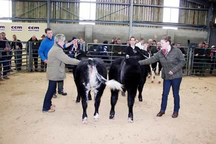 Co-judges Annie Turnbull, left, and Lucy Corner check out the Akriggs’  Craven Champions Day female and male champions, handled by Tom Akrigg and Emily Carr. 