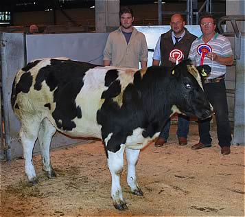 Champion of British Blue Sired Cattle (L-R) Vendor John Spence, Judge John Mellin and Vendor Rod Spence, Whitewell