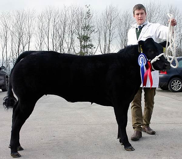 The Reserve Supreme and Top Price again, from the Walker family