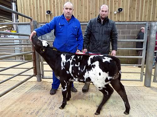 Shaun Sowray, left, and judge Joe Ogden with the champion calf 