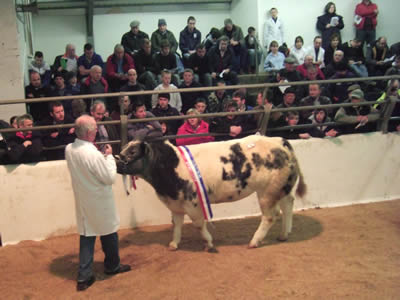 Bidding for the Champion Knockagh Be Good, from Jim Ervine