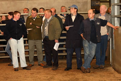 Watching the judging in progress at the Northern Ireland Blue Cattle Club Autumn Show and Sale in Dungannon Farmers' Mart.