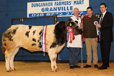 Jim Ervine, Newtownabbey owned the Overall Supreme Champion at the Northern Ireland Blue Cattle Club Autumn Show and Sale in Dungannon Farmers' Mart and Edmund Lowe, Agri Business Manager, Northern Bank is pictured presenting the prize while looking on is Myles McDermott, Co Carlow, Judge of the event. 