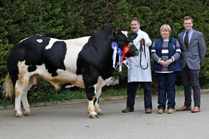 Drumlone Freddie ET owned by Kenny Veitch, Lisbellaw was the Reserve Overall Champion at the NI Blue Cattle Club Premier Show and Sale in the Pedigree Sales Arena, Moira. Kenny is pictured with Libby Young, Club Secretary and Boomer Birch, Staffordshire, Judge of the Show.