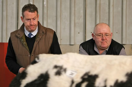 Michael Taafe, Auctioneer and Robert Johnston, NI Blue Club check out the stock entering the Judging Ring
