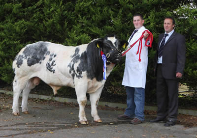 Stephen O Kane showing for Andrew Craig Class 1 winner with judge Keith Belfield 