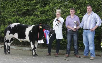 Reserve overall champion and male champion owned by Alan Burleigh and shown by Eimear McGovern with Richard Mackey Judge 