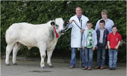 First in the Blue class 4 10-12 months Oliver McCann Jack Doran Shane Dornan and Katie McCann with Libby Young representing the Donnolly Group at the British Blue Calf show in Moira. Picture Kevin McAuley/Kevin McAuley Photography Multimedia