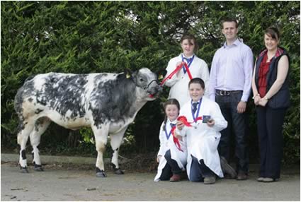 Rodgers family clean up in young handlers Emma, Martin and Lucy all winners in their age groups with judge Naomi Gregg and sponsor William Thompson from Bank of Ireland
