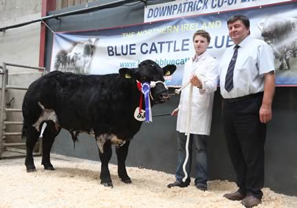 Male Champion & Bull Class for 13-15 months winner, Silverwood Hugo with Colin McKnight, Newry and Judge Alan Cleland