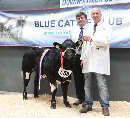 Reserve Male & Bull Class for 4-6 months winner, Ballykeel Imperial with Judge Alan Cleland and Daniel Rogers, Ballymartin.