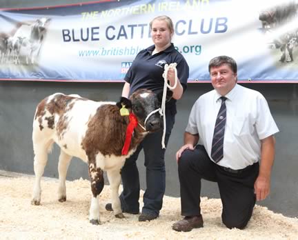 OVERALL CHAMPION & Female Champion & Heifer Class for 7-9 months winner, Springbank Holly with Judge Alan Cleland and Ivan Gordon, Kilkeel.