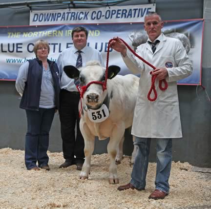 Bull Class for 10-12 months winner, Greenfield Harlequin with Libby Young, Alan Cleland and Basil Dougherty, Kircubbin.