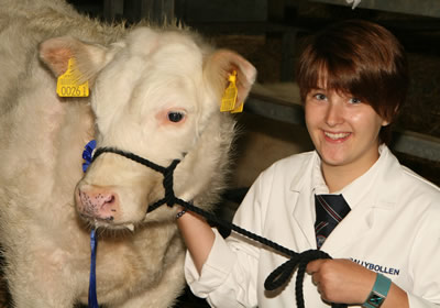 Naomi Gregg who was 2nd in the 33-6 month bull class.