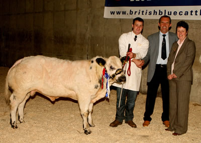 Stephen Crawford 1st in Bull class and reserve champion of the show with Kathy Leivers and Jock Wyllie judges.