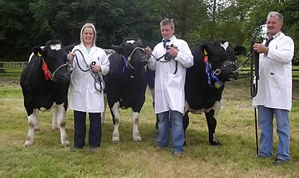 Louise Annett with Snowy Ridge Dallas, Leslie McCarthy with Snowy Ridge Diamond and James Annett with Snowy Ridge D.J. This trio entered the category a group of animals from one exhibitor and were judged Genus Interbreed Beef Reserve Champions of show