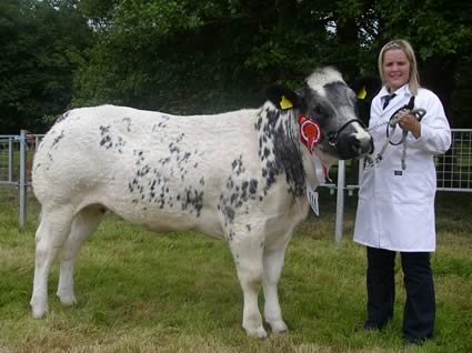 Louise Annett with Snowy Ridge Emerald the British Blue Champion of Show, a 17mth old heifer out of Sire Springbank Blackstar and Dam Ridge Dean Wondering Gem. This young heifer also went on to take the Janssen Animal Health Reserve Champion Pedigree Beef Calf