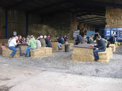 Farm Walk with the Cromwell Herd