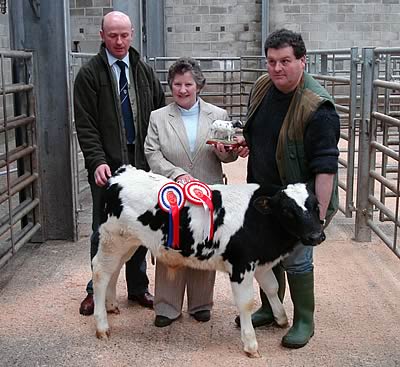 Mark Hartley and Jackie Smith of the North West Club present the prize to Jim Nowle with his Champion bull calf