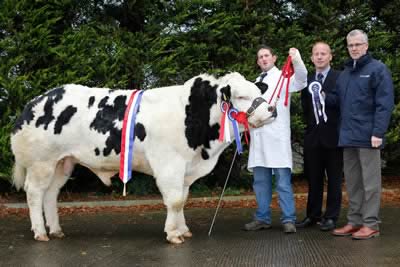 Supreme Champion Woodview Dane owned by Andrew Craig. Handler, Stephen O'Kane is pictured along with John Henning, Head of Agri-Business, Northern Bank, Sponsors and Kevin Watret, Judge.