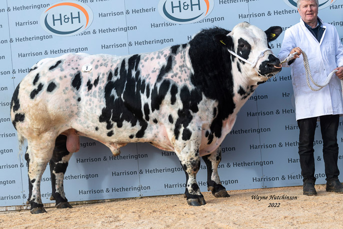 Almeley On Top - 8500gns