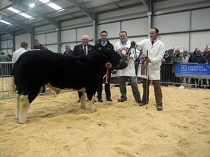 Ted Haste (judge) Philip Halhead (sponsor Norbreck Genetics) Jonathan Watson (Redhead & Watson) owner. Senior Male Champion : Tweedale Ebony (13/9/09) sire Blak Du Baty