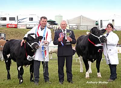 L to R:  Mr J N Dunn with Breed Champion 'Highridge Blues Eddie' with Judge Mr J Sloan and Mrs L P Dunn with Reserve Breed Champion 'Pendle Dazzle'