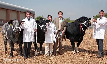 Interbreed Group of 3 from JN & LP Dunn with Highridge Blues Darcia, Pendle Dazzle, and Drift Domino