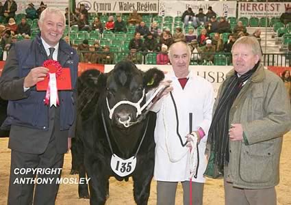 Presentation to Champion British Blue Sired Steer - B E Williams - 'Maximus' 17 months old - pictured L to R: Phil Sellers (judge), Elfed Williams (owner) and Charles Honey of Agri-Lloyd (sponsors).