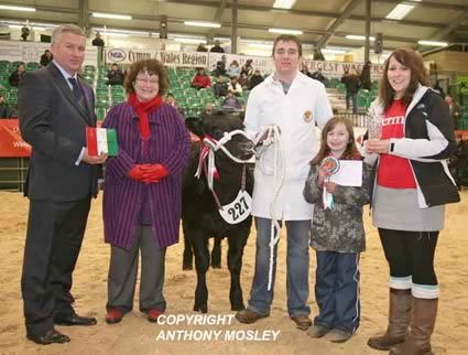Presentation to Supreme Champion Baby Beef - G & E Jones - 'Misty Manners' (6 months old) - L to R: Will Owen (judge), Elin Jones (Welsh Minister of Agriculture), Elfyn Jones (owner) with his niece holding rosette including a representative of the sponsors.