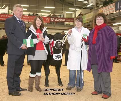 Presentation to Reserve Supreme Champion Baby Beef - DS & CM Edwards - 'Mr Muscle' (7 months old) - L to R: Will Owen (judge), representative of sponsors, Katrine Edward and Elin Jones (Welsh Minister of Agriculture).