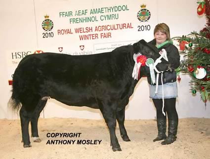 Reserve Supreme Champion of Show - Dylan Hughes - 'Cheeky Girl' (18 months old) with Elin Hughes