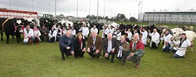 Northern Bank sponsors of the Best of breed British Blues at Ballymena Show