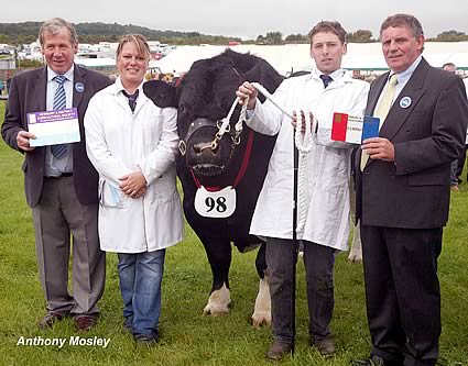 Interbreed Championship Presentation to Lorraine Dunn with Andrew Luxton (stockman) holding Domino and the 2 judges, Bert Taylor (left, Native Beef Championship) and Jim Barber (right, Continental Beef Championship).