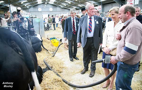 HRH The Countess of Wessex viewing the “Blues” with Wyn Jones of the Tanat Herd