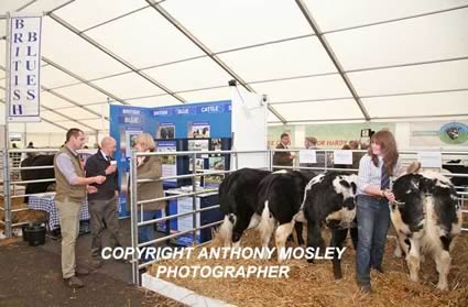 The South West Club stand at Beef South West 2012