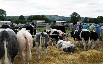 Lampeter Show