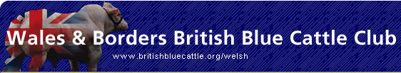Wales &  Borders British Blue Club - British Blue Cattle Society