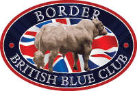 Border British Blue Club