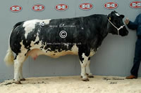 Ridge Dean Rita - 6000gns